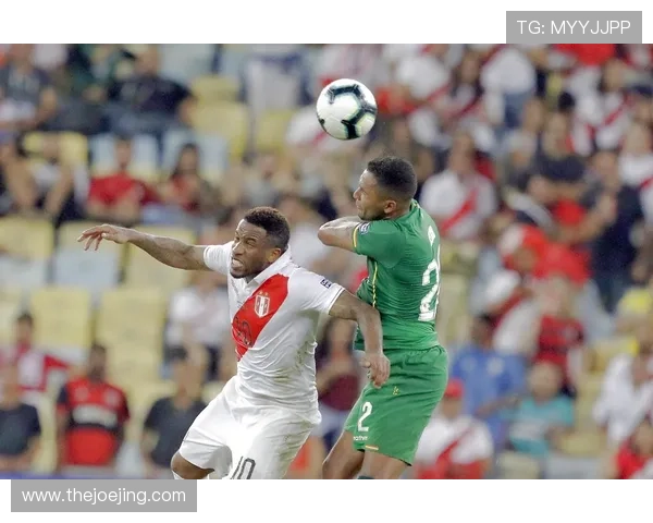 秘鲁队数据分析 秘鲁队数据分析