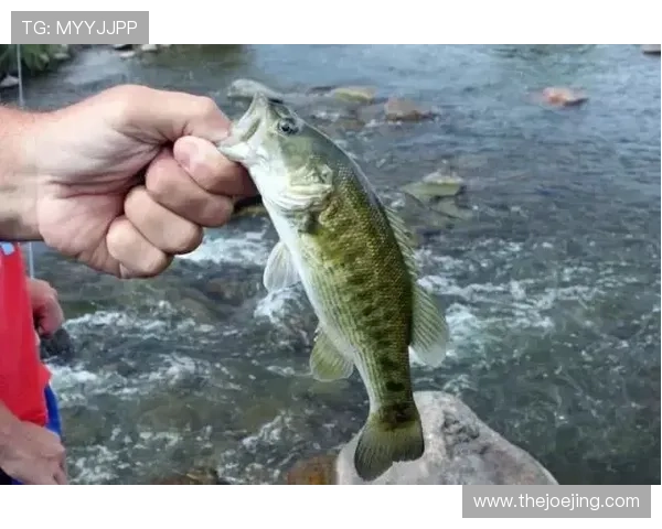 居莱尔 vs 梅西：天赋与成长路径差异解析